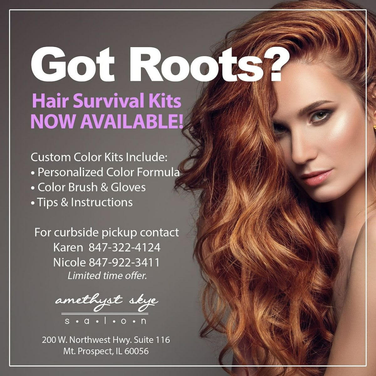 amethystskye1 Mount Prospect Supports Local Business Promotions
